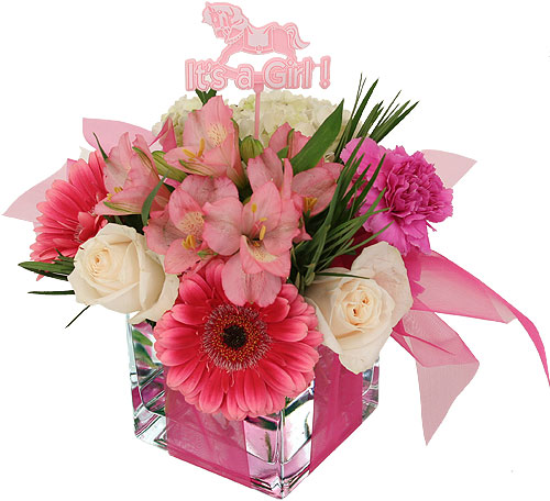 Jovial Arrangement